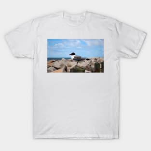 Laughing Gull T-Shirt